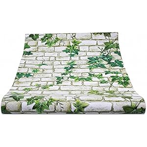 omem Reptilien House Hintergrund Tapete 50cm x 45cm