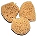 Unbleached Sea Sponge Soft Honeycomb 15.2-16.5cm, 6-6.5" inches