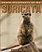 Suricata: Libro sui Suricata per Bambini con Foto Stupende & Storie Divertenti Caroline Norsk Author