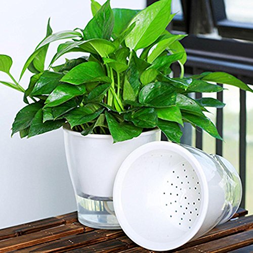 Preisvergleich Produktbild Selbstbewässernder Blumentopf Automatische Bewässerung Flowerpot Kunststoff für frische Kräuter, Selbstbewässerung, Weiß, Fresh Herbs