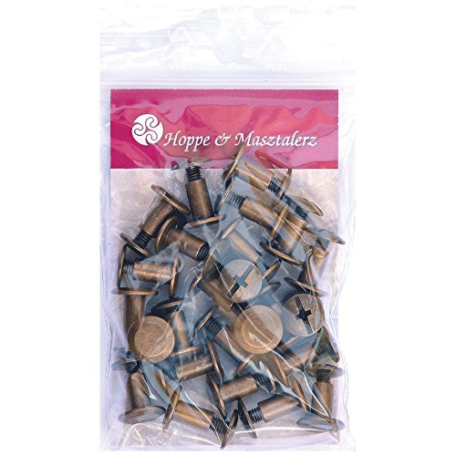 25 Schraubnieten Gürtelschrauben Buchschrauben Chicagoschrauben Nieten zum Schrauben 7MM messing-antik - 3
