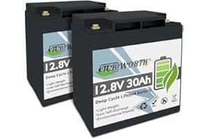TCBWORTH Batería de 12V 30AH ​​LiFePO4 Grado A Celdas con Ciclo Profundo BMS más de 10000 Veces, Adecuado para Solar, RV, Remolque, Motor de Arrastre, Barco, Serie de Soporte y Paralelo，2 Piezas