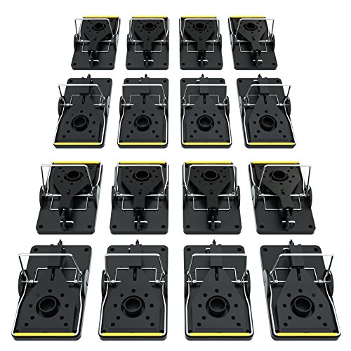 TwinterS, Trappola professionale per roditori, igienica in plastica