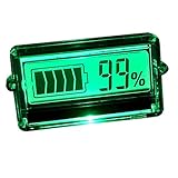 uniquegoods LCD Capacidad de la batería probador Indicador para Coche 12 V 24 V 48 V de plomo-ácido litio nueva herramienta