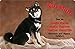 Produktbild +++ SHIBA INU - Metall WARNSCHILD Schild Hundeschild Sign - SBA 03 T1