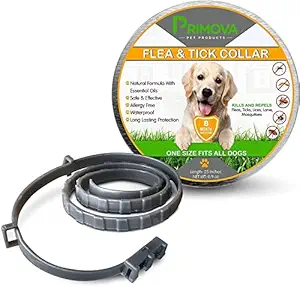 Primova Pet Products Flea and Tick Prevention Collar for Dogs - Natural Essential Oils Bio - Waterproof - Long Lasting 8 Month Protection - Safe & Hypoallergenic - One Size Fits All