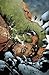 Hulk Thing: Hard Knocks (Incredible Hulk) by 