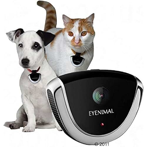 Amazon.fr collier chat camera