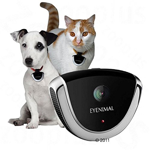 pet camera collar