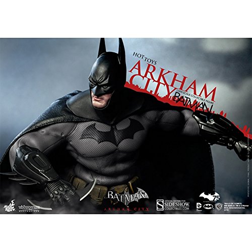 Hot Toys 1:6 Scale Batman Arkham City VGM Series Figurine
