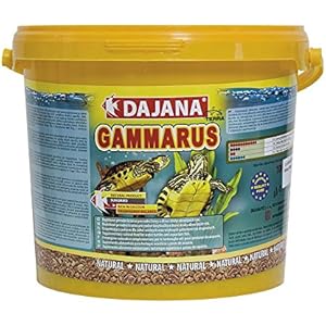 DAJANA Gammarus, 1er Pack (1 x 500 g)