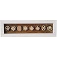 The Spiritual Living Jain Asthamangal Natural Wood Frame for home & Office Main Door Entrance with Decorative Box |10 x 3 Inch |