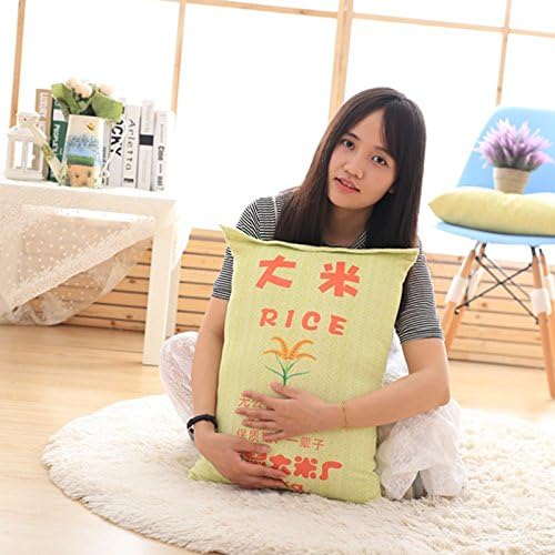 Cengbao Creative Funny Plush Toys Simulation Cement Sand pillow cushion lunch break pillow birthday gift men and women, flour pillow, 60 cm