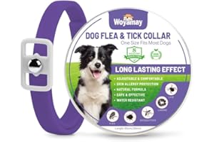 Woyamay Collier Anti Puces pour Chien, Réglable Résistant à l'eau Collier Chien Anti Puces et Tiques, 8 Mois Naturel Collier Anti Tique Chien pour Chien Toutes Races et Tous âges - Violet