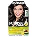 Garnier Number 3 Ebony Darkest Brown Nutrisse Creme Permanent Nourishing Hair Colour