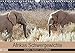 Produktbild Afrikas Schwergewichte Elefant, Nashorn und Nilpferd (Wandkalender 2019 DIN A4 quer): Afrikanische Dickhäuter in der Natur (Monatskalender, 14 Seiten ) (CALVENDO Natur)