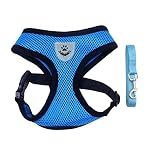 Aolvo-Kit-con-guinzaglio-e-pettorina-in-maglia-traspirante-regolabile-con-pettorina-imbottita-per-cani-di-piccola-taglia-piccoli-animali-domestici-gatti-e-cuccioli