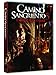 Camino Sangriento 5 [DVD]