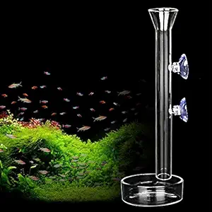 AnxunJim Shrimp Feeding Tube and Dish,Clear Crystal Glass Shrimp Feeder Tube Tray for Fish Tank Aquarium Shrimp (10
