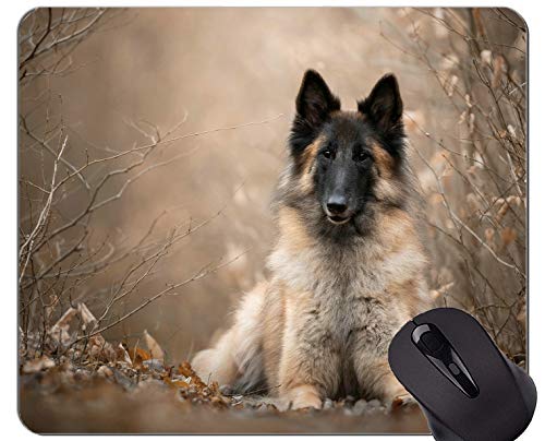 Preisvergleich Produktbild Naturkautschuk-Gaming-Mauspad mit belgischem Schäferhund bedruckt - genähte Kanten