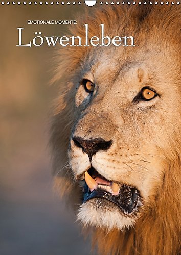 Emotionale Momente: Löwenleben / CH-Version (Wandkalender 2017 DIN A3 hoch): Dramatische Bilder aus dem Leben der Löwen (Monatskalender, 14 Seiten ) (CALVENDO Tiere)