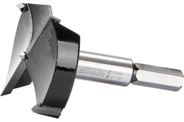 MOLLOM 2-7/8" (73mm) Hårdmetall Förstnerborr | 2,0 mm tjock YG8-hårdmetallskär, gångjärnsfräs för hårt och mjukt trä, plast