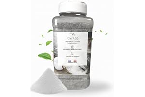 TECH'N'FAST Poudre absorbante vomi, urine, eau - Gélifiant solidifiant et désodorisant - Parfum Eucalyptus - Idéal pour absorber l'urine de chat et chien - Bouteille épandeuse 1L - Gel'Abs