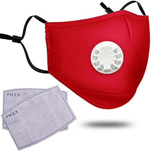 Anti Pollution Mask Adult PM 2.5 Pollen Dust Mask Washable Anti-fog Anti Dust Mask Antibacterial Activated Carbon Filter Earloop Mouth Mask with 2 Filters (Red)
