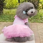 MagiDeal-Abito-Cane-Elegante-Arco-Sveglio-Della-Banda-Del-Vestito-Principessa-Gonna-Di-Pizzo-Abbigliamento-per-Animali-Cucciolo-Gatto