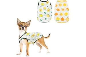 JODSEN 2 Stück Hundeshirts, Atmungsaktives Welpen Hunde Shirts mit Obstmustern, Sommer Hundekleidung, Weiche Haustier Westen Kleidung, Haustierbekleidung für Kleine Mittlere Jungen Mädchen Hund Katze (S)