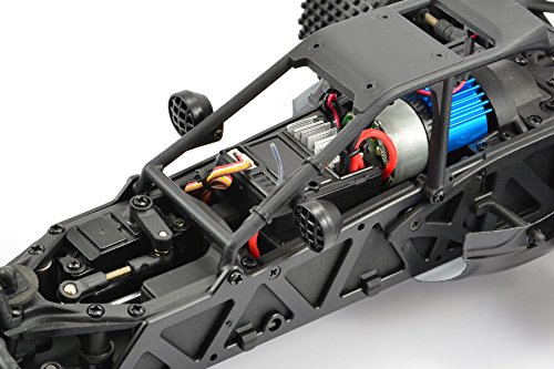 FTX Surge 1/12 Brushed Buggy Ready-To-Run (Orange/Black)
