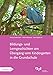 Produktbild Bildungs- und Lerngeschichten am Übergang vom Kindergarten in die Grundschule: Bildungs- und Lerngeschichten spezial