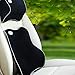 Produktbild Premium Memory Foam Auto Lendenkissen Kissen & Nacken Kissen für das Fahren Reisebüro Home Seat Kit (schwarz)