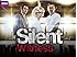 Silent Witness Season 17