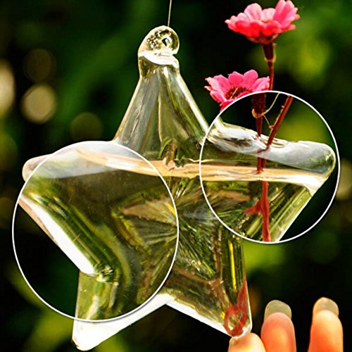 Kungfull Mall Lucky Star Form Glas Vase Blumenvase Wasser Kulturanlage Container - 4