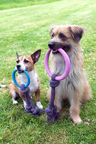 Beco-Pets-Beco-Hoop-on-Rope-Large-Pink
