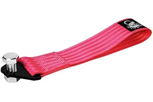 ‎AUTO-DRESS.DE Auto-Dress Rennsport Abschleppschlaufe, Traglast 3t, Racing Hook Tow Strap (Pink)