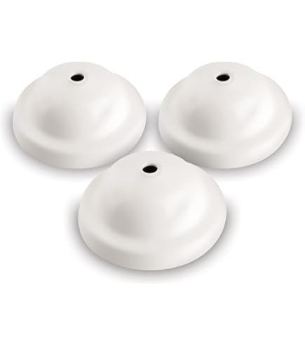 Rétro Lumière Canopée Trousse Avec Anneau Vintage Lustre