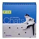 Chats : Le calendrier Géo