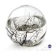 Produktbild EcoSphere Mega Kugel - Miniaquarium aus der NASA Weltraumforschung - 23 cm Durchmesser und min. 40 Garnelen
