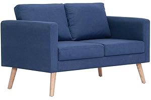 vidaXL Divano a 2 Posti Elegante Comodo Sofa Doppio per Casa per Ufficio Poltrona da Due Persone Arredo per Salotto Arredamento in Tessuto Blu