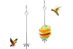 YOUDALIS 2 Pcs Parrot Skewer Feeder, Stainless Steel Bird Fruit Skewers, Bird Food Holder Foraging Toy for Budgie Parakeet Cockatiel