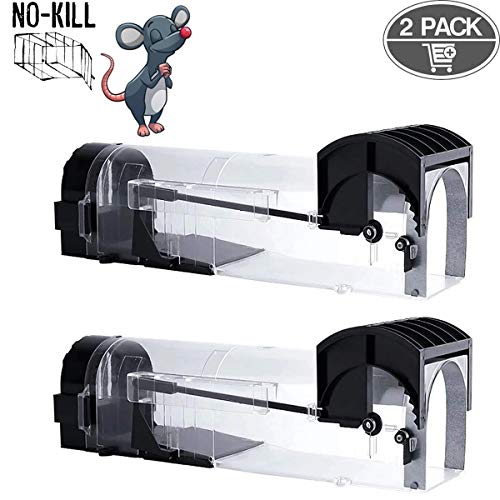 IAGORYUE Humane Mouse Trap for Indoors, Rat and Rodent Trap, Mouse Traps Catch and Release Rat Traps, Rat Poison Substitute, Reusable and Easy to Use Snap Mice Catcher, Pets & Children Safe 2 Pack