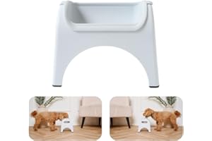 EASYEAT The Premium Dog Feeding Station Perfect for Small to Medium Sized Pets Raised Dog Bowl with a Beautiful, Non-Slip Design –Elevated bowl Improves Digestion, User friendly (Powder Blue)