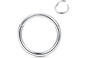 Roheafer Anillos nasales hipoalergénicos Titanio G23 Anillos Nariz aro 14G 16G 18G 20G Anillos segmentos bisagras para Mujeres Hombres Helix Tragus Cartílago Septum Joyería Anillos perforación Cuerpo