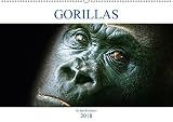 Gorillas - In der Freiheit (Wandkalender 2018 DIN A2 quer): Gorillas - die sanften Riesen (Monatskalender, 14 Seiten ) (CALVENDO Tiere) by 