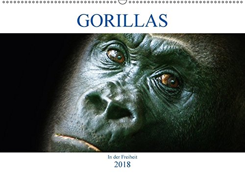 Gorillas - In der Freiheit (Wandkalender 2018 DIN A2 quer): Gorillas - die sanften Riesen (Monatskalender, 14 Seiten ) (CALVENDO Tiere)
