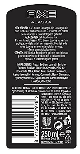 Axe Alaska Duschgel, 250 ml - 2
