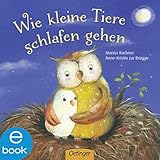 Bücher Neuerscheinungen 2022 - Wie kleine Tiere schlafen gehen von Anne-Kristin zur Brügge