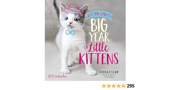 Buy Kitten Lady S Big Year Of Little Kittens 2021 Wall Calendar Book Online At Low Prices In India Kitten Lady S Big Year Of Little Kittens 2021 Wall Calendar Reviews Ratings Amazon In